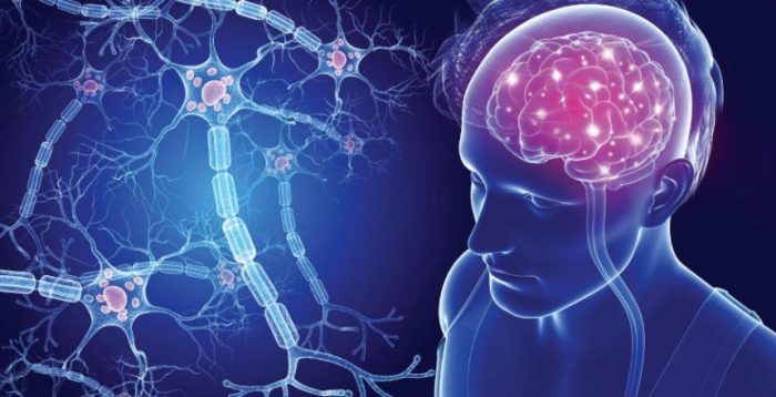 anticuerpos monoclonales en esclerosis multiple