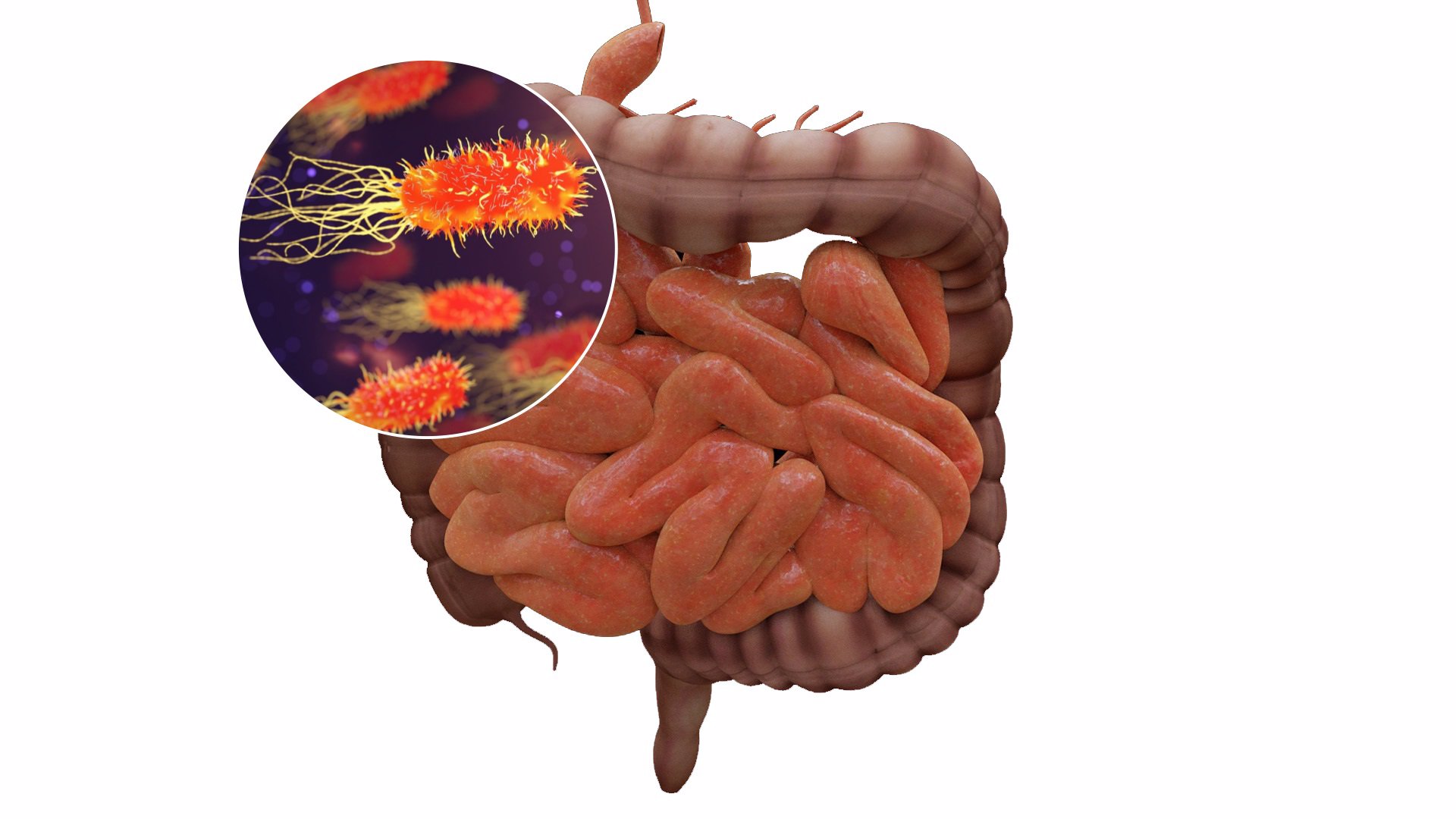 Grupo sanguíneo y microbioma intestinal